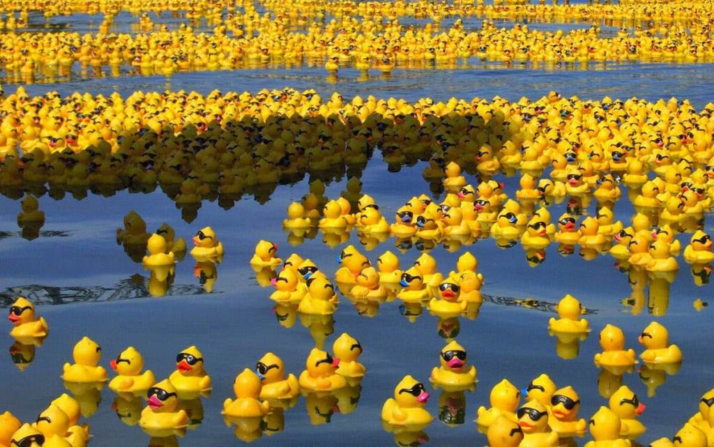 Del naufragio a la leyenda científica: los patitos de goma que ayudaron a entender las corrientes&nbsp;oceánicas
